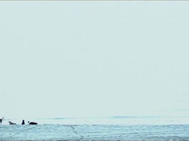 FIVE DEDICATED TO OZU (2003) FIVE DEDICATED TO OZU (2003)