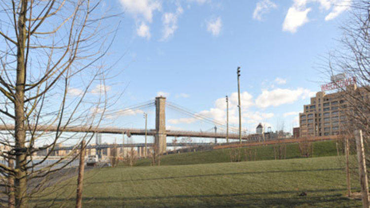 Pier 1 Park (Photography courtesy Brooklyn Bridge Park)