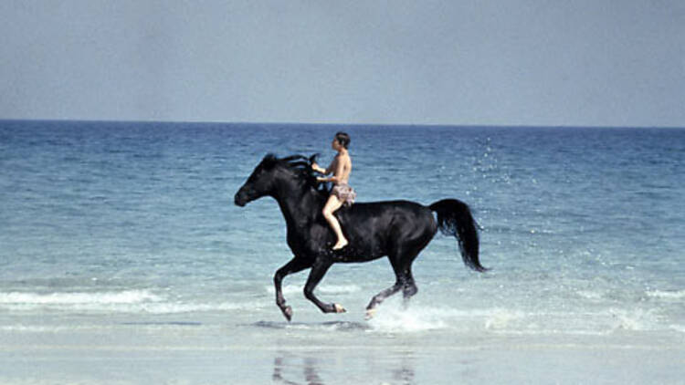 The Black Stallion (1979)