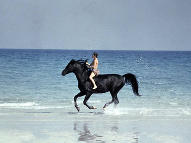 The Black Stallion (1979)