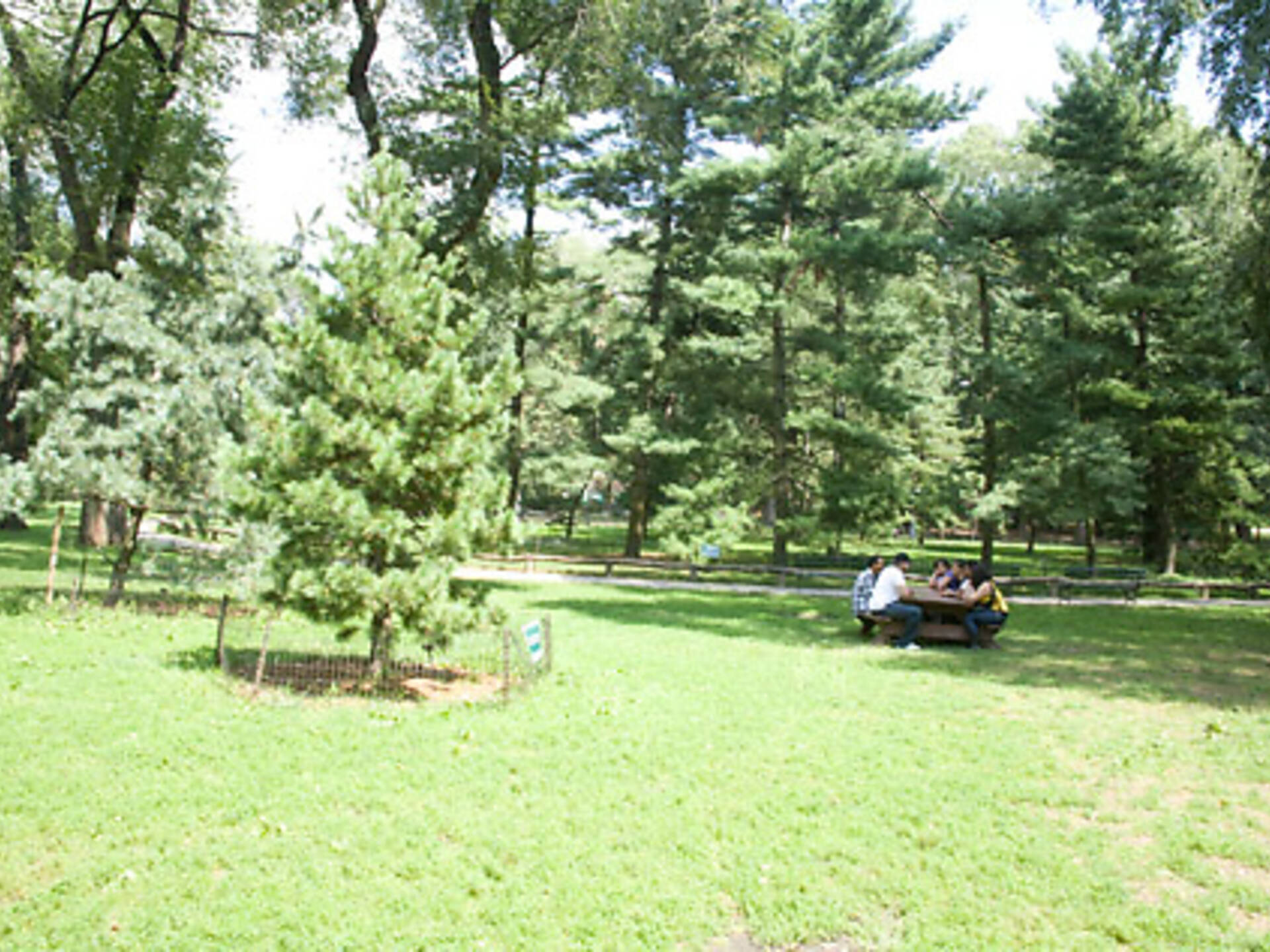 Best picnic spots in Central Park for a picturesque, outdoor meal