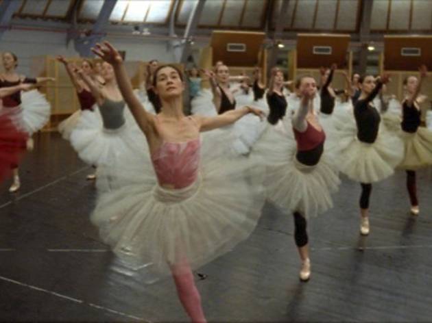 La Danse: The Paris Opera Ballet 736.fi.x491.danse.jpg