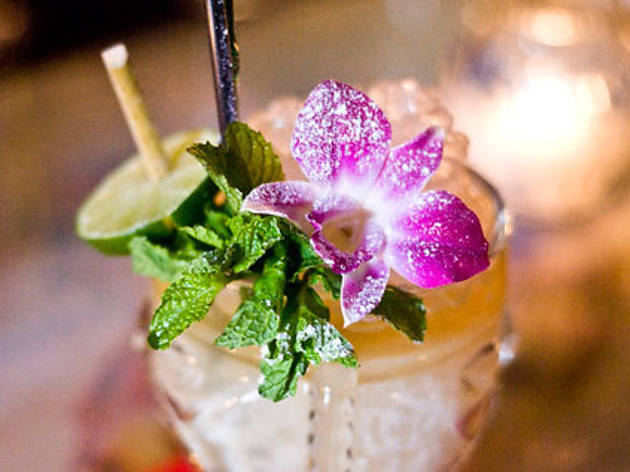 Mai tai Mai tai