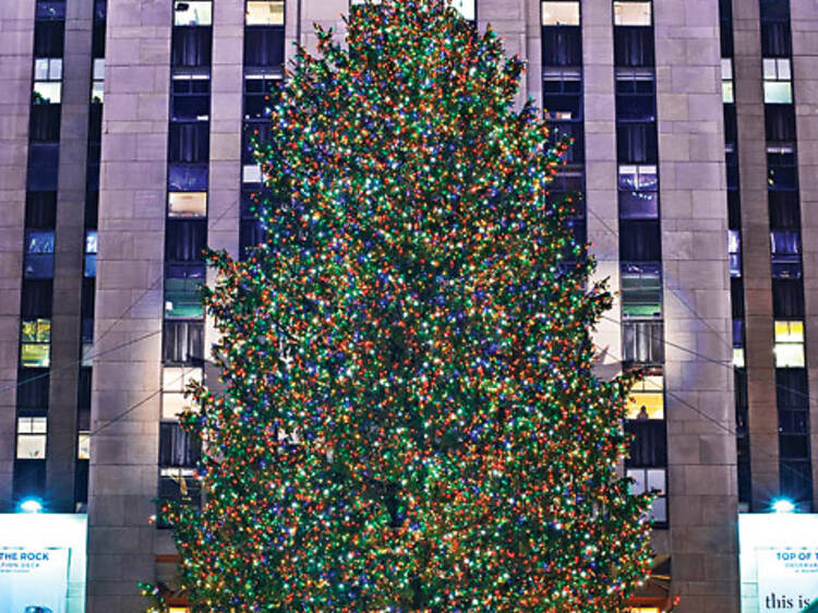 Christmas trees in NYC