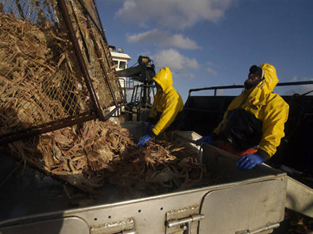 Deadliest Catch (2005–present) Deadliest Catch (2005–present)