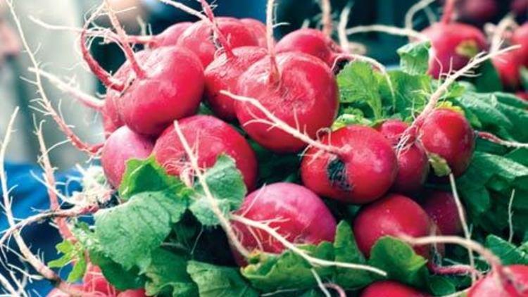 Union Square Greenmarket