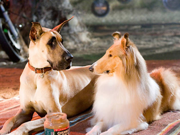 Marmaduke Marmaduke