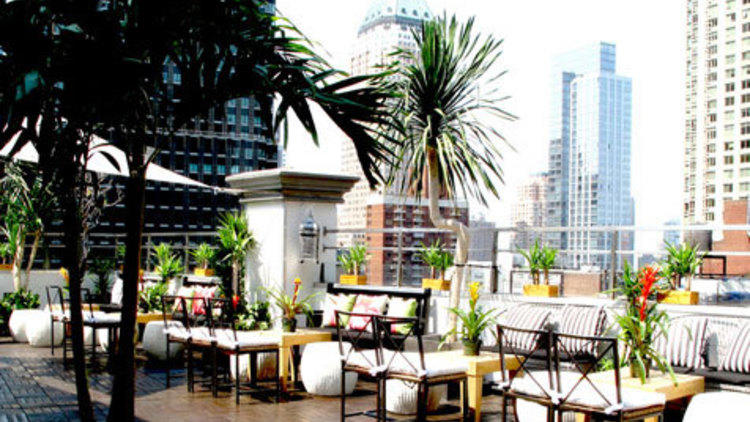 NYC's best rooftop bars