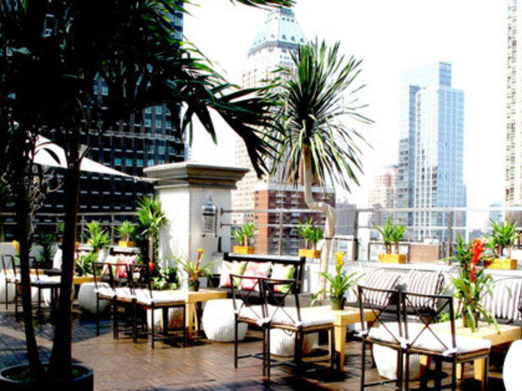 Rooftop bars in NYC