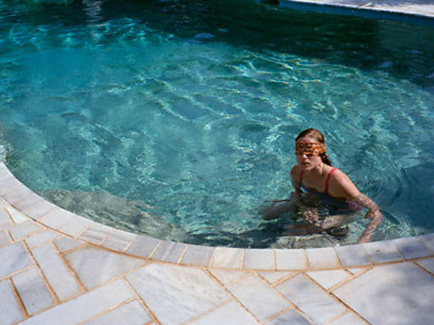 Dogtooth Dogtooth