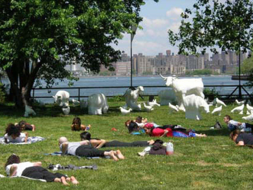 Outdoor Yoga Nyc 2022 at Tara Coleman blog