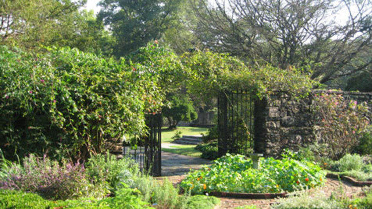 Cemetery Walk and Ghost Stories in Double Parlors