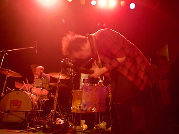 White Rabbits