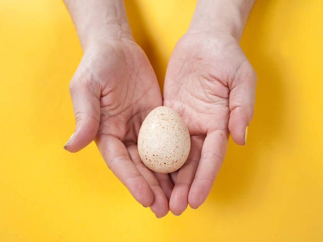 (Photograph: Jolie Ruben)