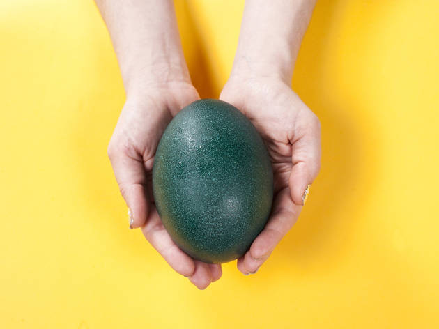 (Photograph: Jolie Ruben)