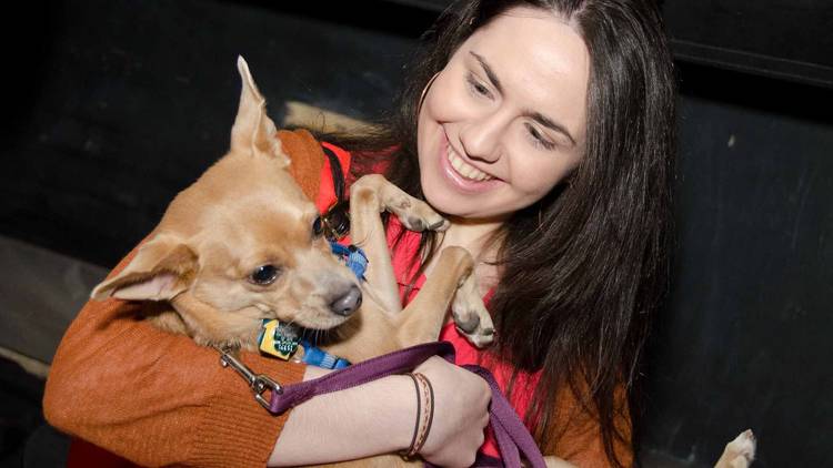 Brooklyn Mutt Show (Time Out, Photograph: Marielle Solan)