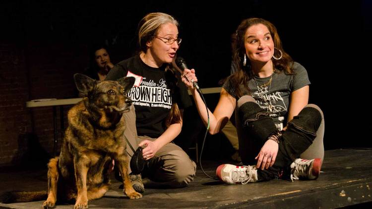 Brooklyn Mutt Show (Time Out, Photograph: Marielle Solan)