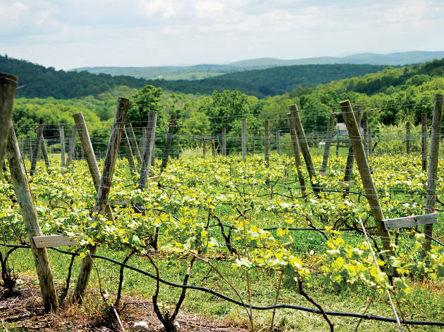 Millbrook Winery Millbrook Winery