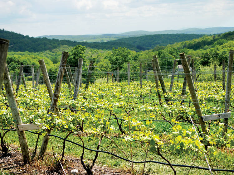 Millbrook Winery