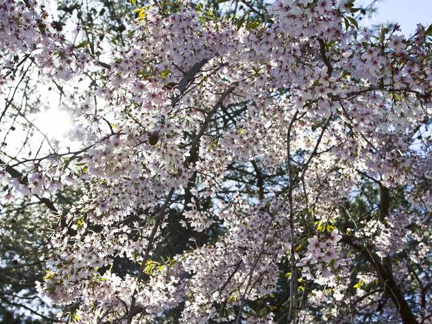 (Photograph: Caroline Voagen Nelson)