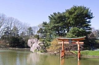 Photos: Hanami At Brooklyn Botanic Garden