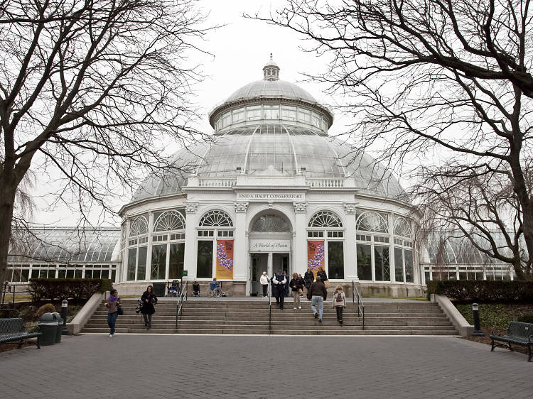 Touristy: New York Botanical Garden