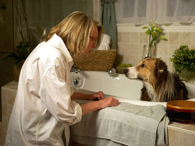 Per fi sols! Diane Keaton and Kasey in Darling Companion