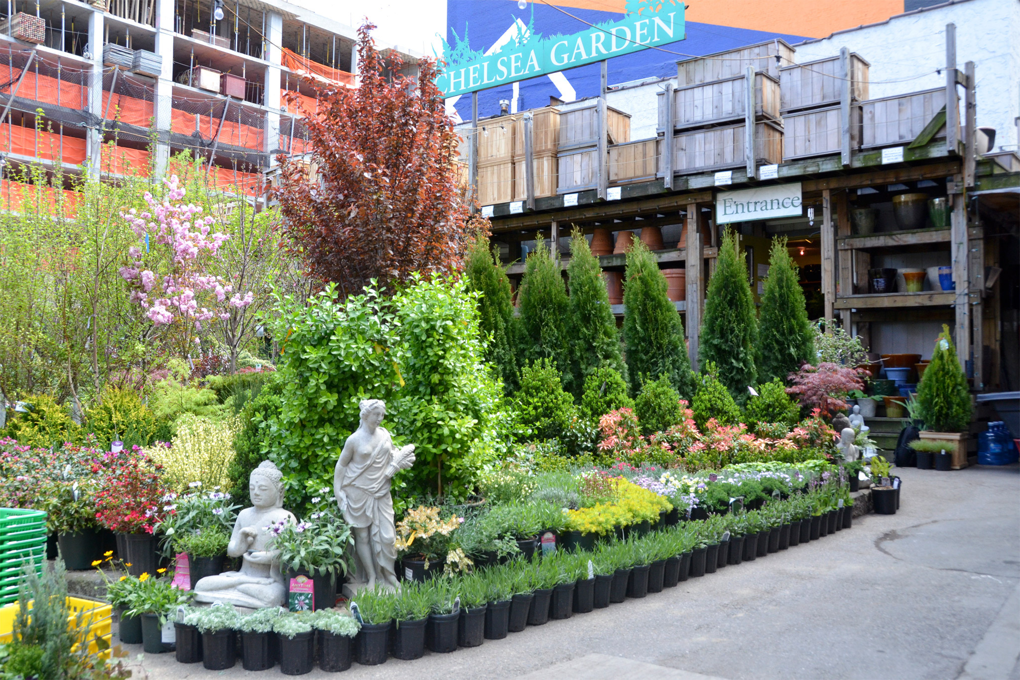 Chelsea Garden Center Shopping In Red Hook New York