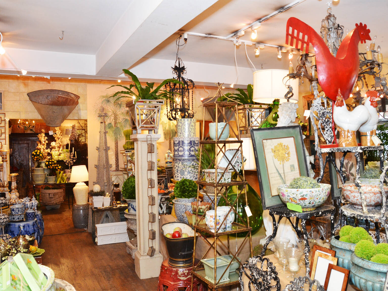 Best Plant Stores NYC Offers To Create An Indoor Jungle