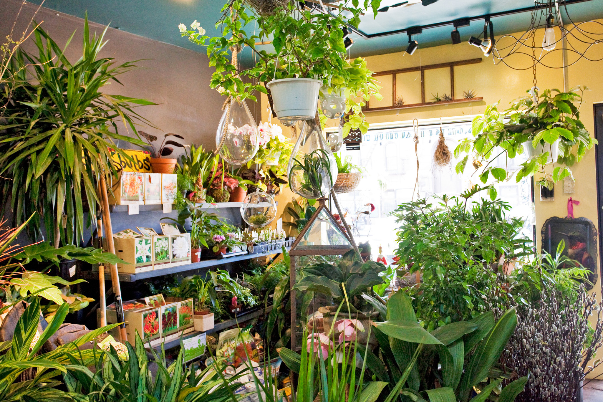 Best garden store options in NYC for plants, flowers & landscaping