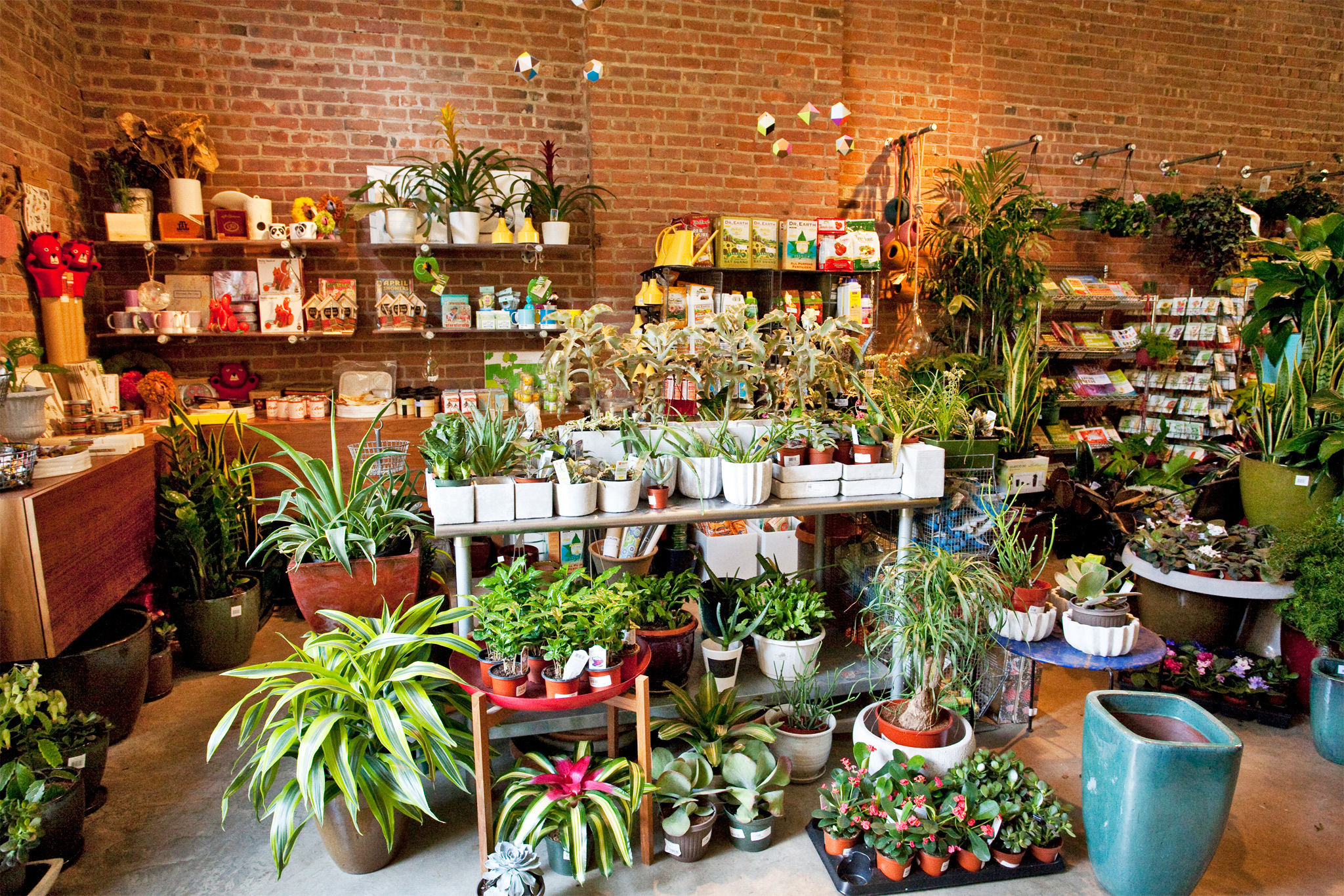 Best garden store options in NYC for plants, flowers