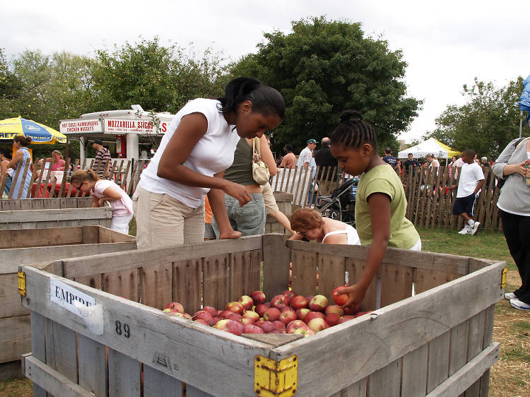 Visit Queens County Farm Museum