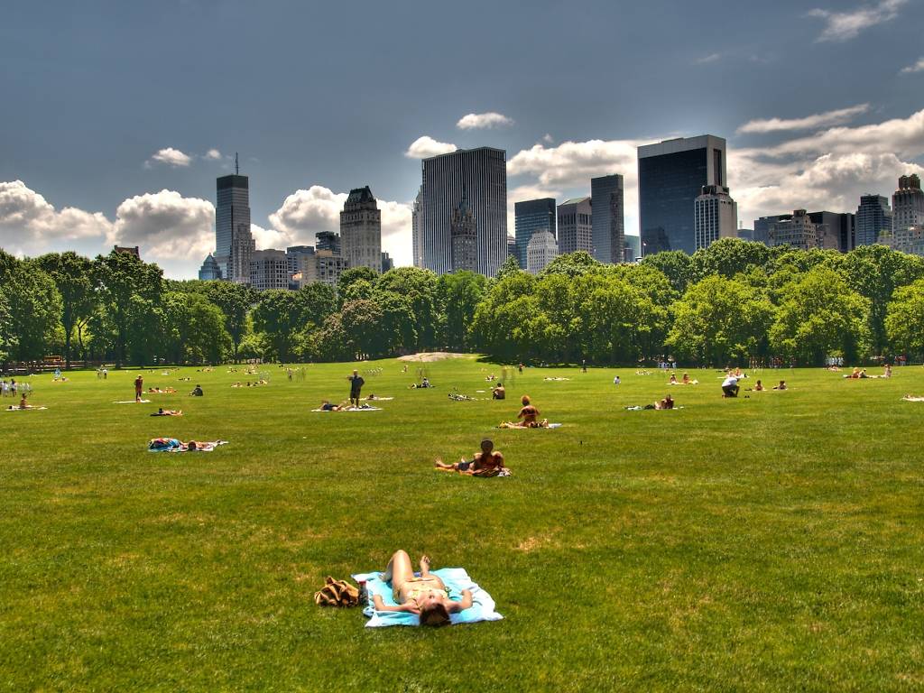 Outdoor Yoga in NYC A Guide to Free Classes and Rooftop Vinyasa