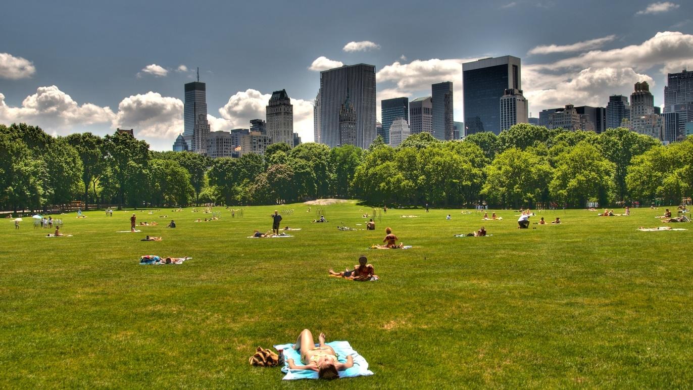 Central Park, Sheep Meadow | Attractions in Central Park, New York