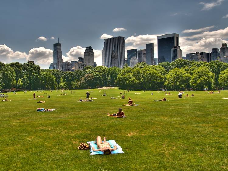 The Yoga Trail in Central Park