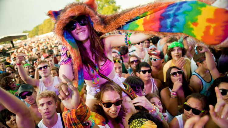 Electric Zoo on Randalls Island