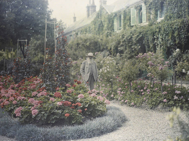 "Monet's Gardens"