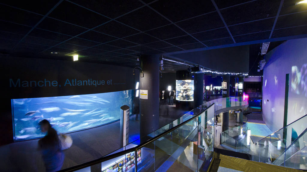 Aquarium de Paris Sites et monuments à Chaillot, Paris