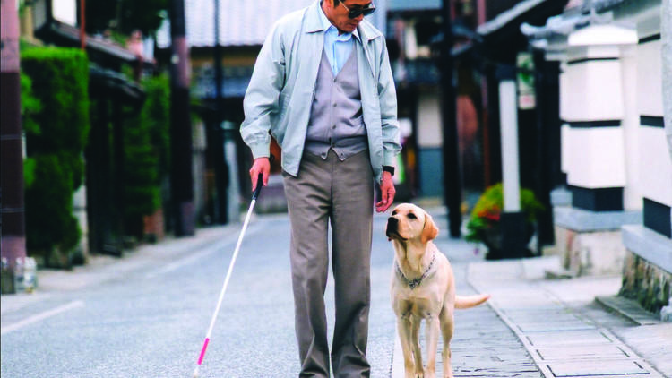 Kaoru Kobayashi and his canine companion in Quill: The Life of a Guide Dog