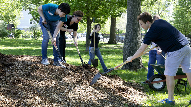 Volunteer with an eco-friendly organization