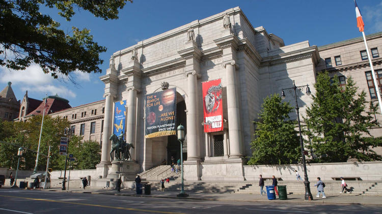 Go stargazing indoors at the American Museum of Natural History