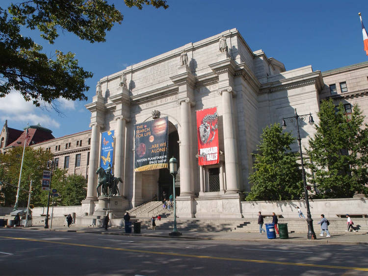 Go stargazing indoors at the American Museum of Natural History