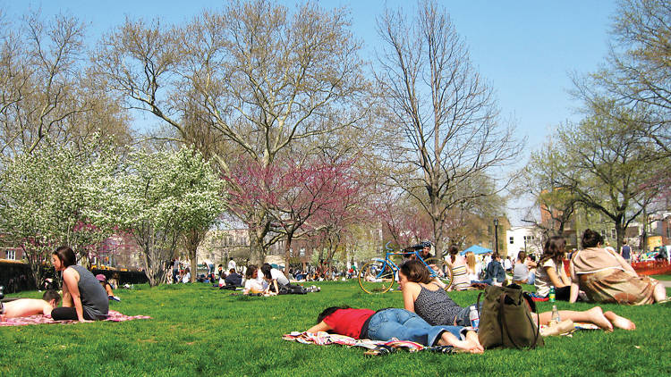 McCarren Park Dog Run