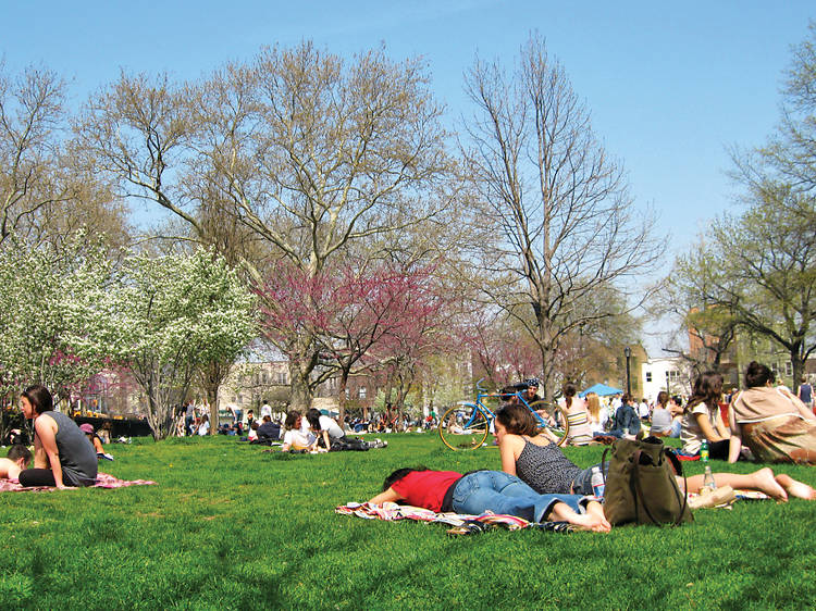 People lounging on a grassy lawn in an NYC park