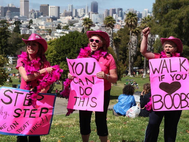 Pink Ribbons, Inc. Pink Ribbons, Inc.