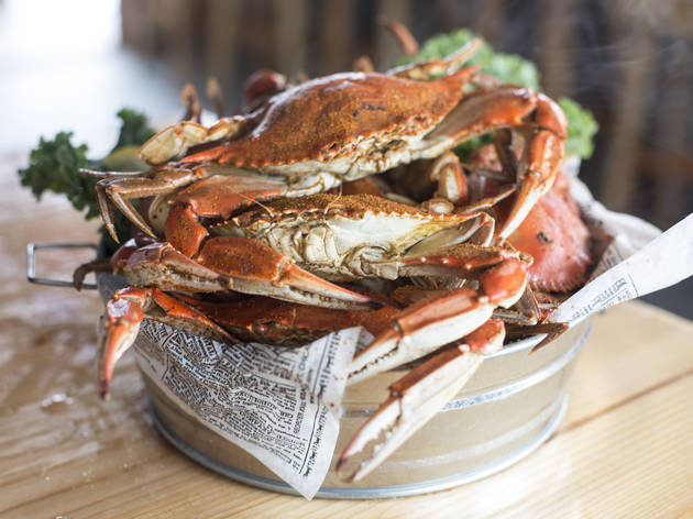 Steamed blue crabs at Brooklyn Crab