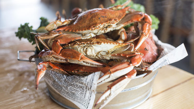 Steamed blue crabs at Brooklyn Crab