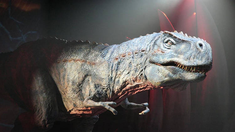 Marche des dinosaures