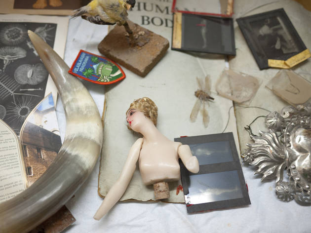 Fashionable Diseases: Diagnoses for the In Crowd Since 1700 Morbid Anatomy