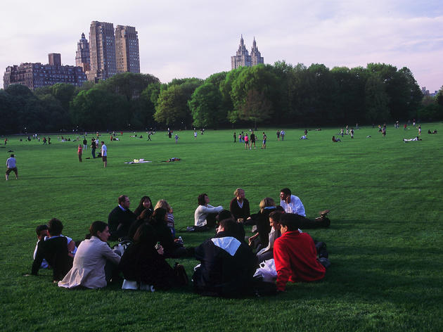 Sheep Meadow